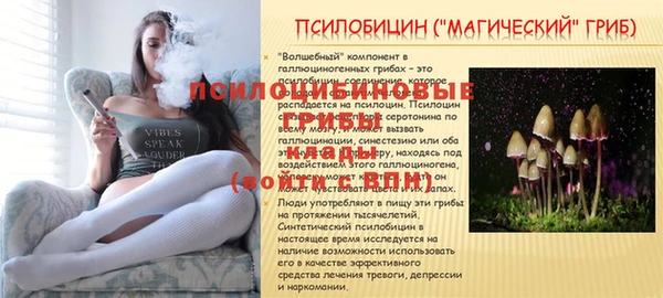 мяу мяу мука Вязьма