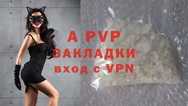 мяу мяу мука Вязьма