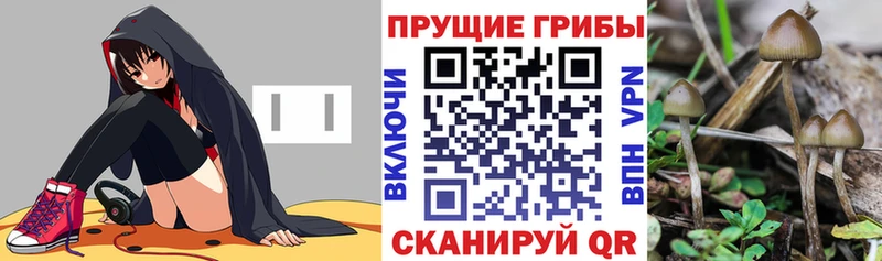 Псилоцибиновые грибы ЛСД  MEGA вход  Калининск  дарнет шоп 